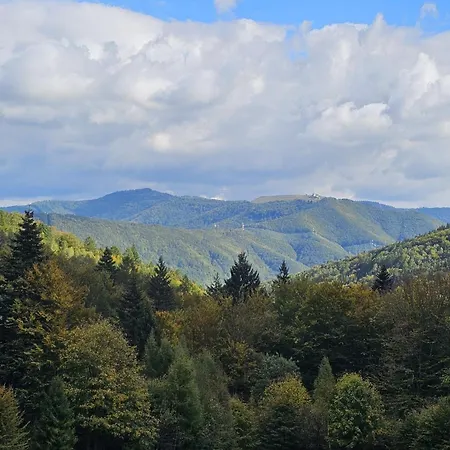 Malowany بيت للعطل Międzybrodzie Bialskie