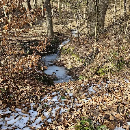 Tatil Evi Malowany Międzybrodzie Bialskie