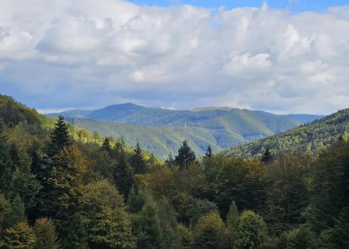 Malowany Prázdninový dům Międzybrodzie Bialskie