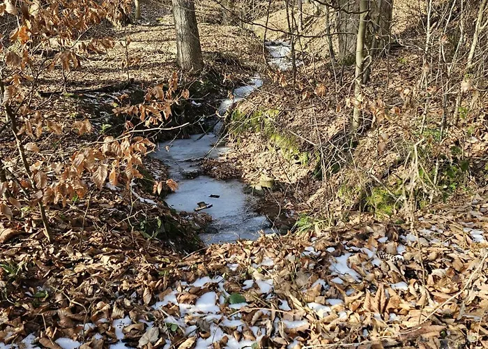 펜션 Malowany Międzybrodzie Bialskie