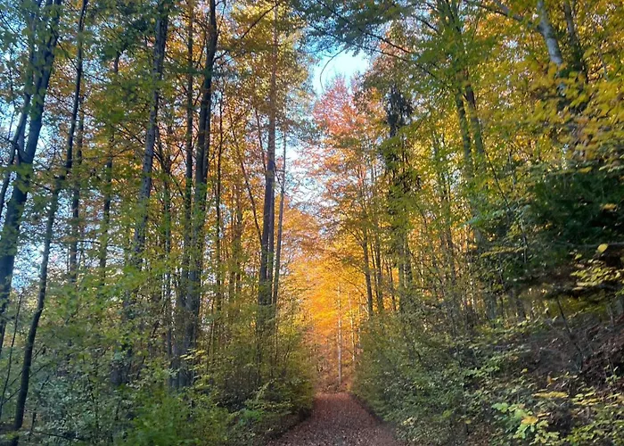 Prázdninový dům Malowany