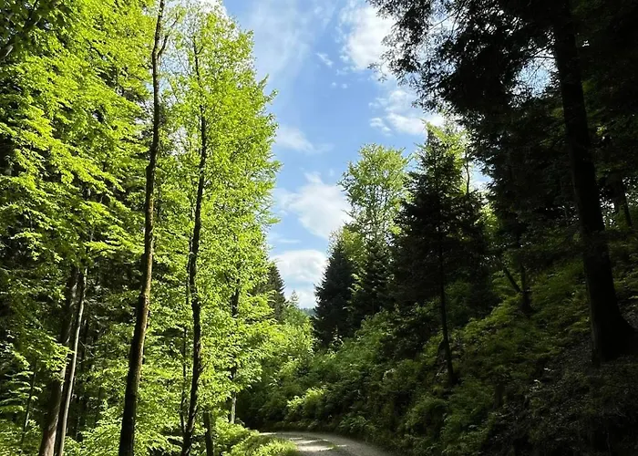 Prázdninový dům Malowany